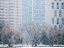 В УрФО прогнозируют метели, мокрый снег и сильный ветер