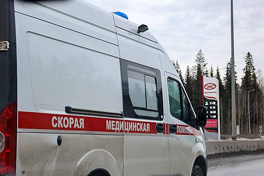 В России десятки человек отравились на теплоходе во время круиза