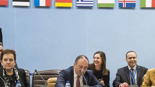 Заместитель генсека НАТО прокомментировала желание Украины вступить в альянс