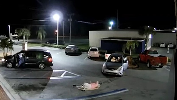 Преступник сбил пожилую женщину, попытавшуюся вернуть украденный кошелек. Видео