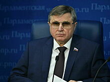 Смолин предложил закрывать школы для глухих детей только с согласия родителей