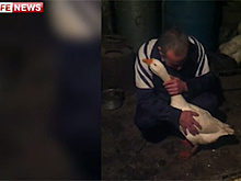 Гусь Вася обнимашками спасся от ножа дагестанца