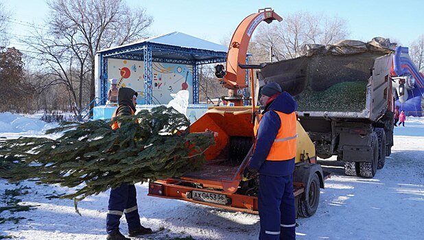 В Оренбурге начали разбирать и перерабатывать новогодние елки