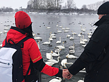 Новосибирец подарил любимой жене на день рождения озеро с лебедями