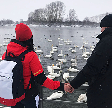 Новосибирец подарил любимой жене на день рождения озеро с лебедями