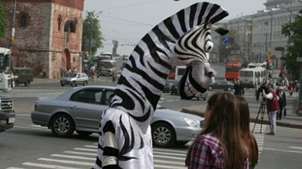 Московская область заняла первое место по количеству пешеходов, игнорирующих ПДД