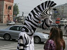 Московская область заняла первое место по количеству пешеходов, игнорирующих ПДД