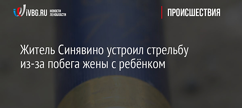 Житель Синявино устроил стрельбу из-за побега жены с ребёнком