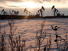 Новак: Россия сократит объёмы экспорта нефти в декабре