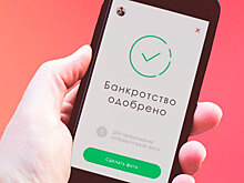 Банкротство физического лица от 50 тысяч рублей без смс, регистрации и суда