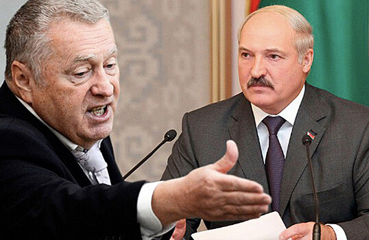 Жириновский предложил Лукашенко снять свою кандидатуру с выборов