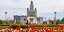В Москве растут поступления в бюджет по специальным налоговым режимам