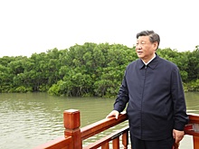 Си Цзиньпин поручил усилить подготовку к реальной войне