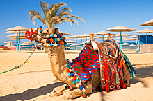 Власти Египта запустят рейсы между курортами и достопримечательностями