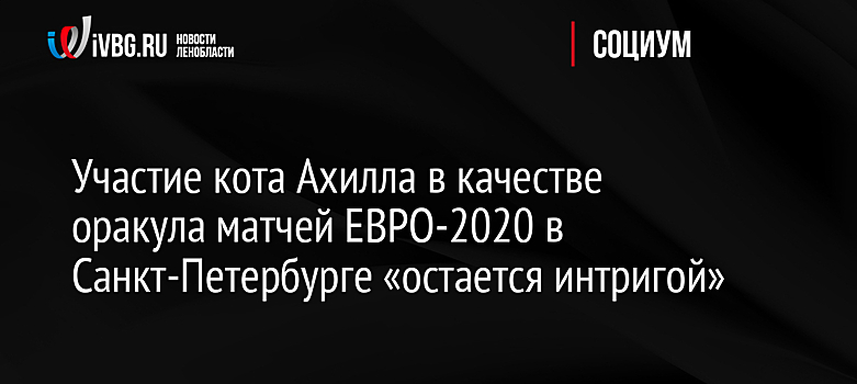 Участие кота Ахилла в качестве оракула матчей ЕВРО-2020 в Санкт-Петербурге «остается интригой»