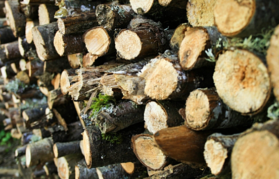 В Венгрии вступил в силу запрет на вывоз из государства дров