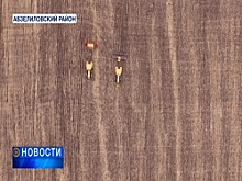 В Башкортостане космические технологии внедряют в сельское хозяйство