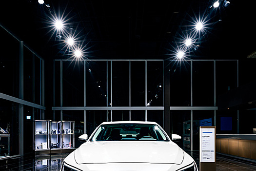 Бастрыкин потребовал доклад о мошенничестве с автомобилями в Самарской области