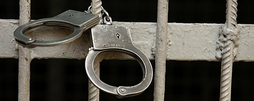 В Новосибирской области задержали помощника депутата по подозрению в педофилии