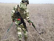 Дома жителей Большесолдатского района разминируют по заявкам