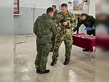 Отличившимся на СВО нижегородским бойцам вручили госнаграды