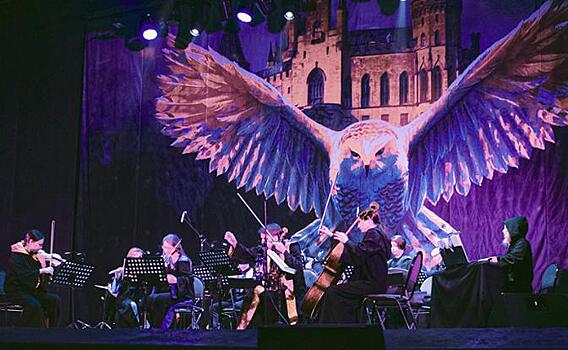 Симфонический саундтрек: Гарри Поттер появится на сцене Кремля