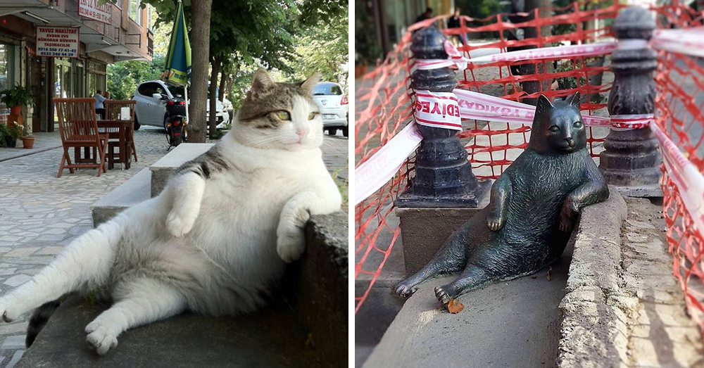 Памятник скучающему коту Томбили