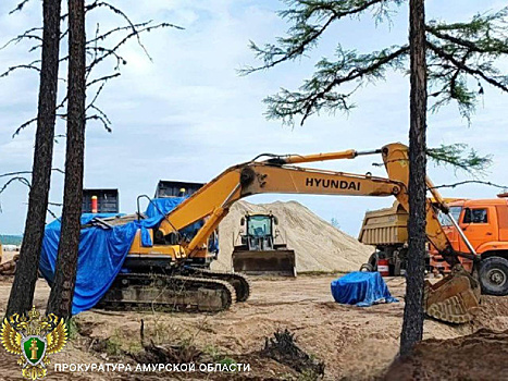 В Тындинском округе оштрафовали организацию, которая самовольно захватила землю