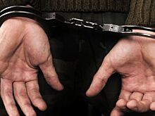 Подозреваемый в убийстве девочки под Волгоградом арестован