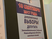 На довыборах в Заксобрание Новосибирской области якобы фиксируются нарушение
