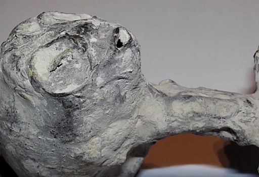 Ученый объявил об иноземном происхождении «перуанских карликов». Но коллеги ему не поверили