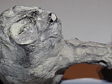 Ученый объявил об иноземном происхождении «перуанских карликов». Но коллеги ему не поверили