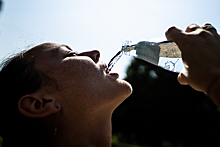 Забыть про сок, спрятать питомцев и прислушаться к технике: 14 советов, как пережить калининградскую жару