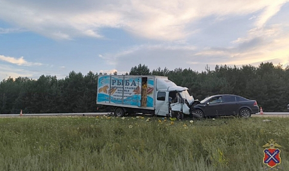 Водитель «Опеля» умер в больнице после ДТП с «Газелью» в Волгоградской области