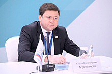 Депутат Кривоносов предложил предусмотреть льготные кредиты гостиничному бизнесу