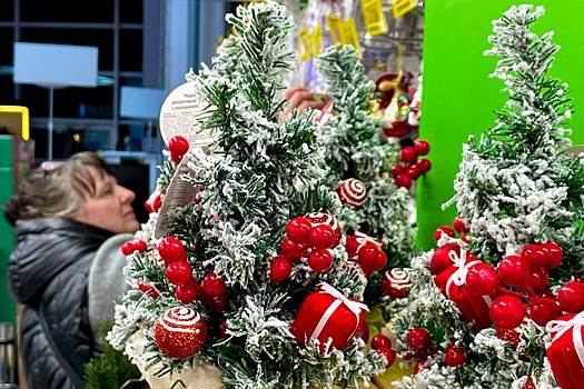 Донской врач рассказал, зачем нужно мыть елку