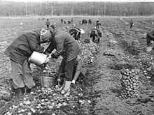 Педагоги из Ульяновской области поучаствуют в конкурсе "Растим гражданина"