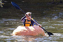 В Австралии мужчина сделал лодку из гигантской тыквы