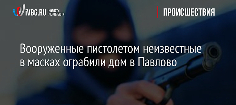Вооруженные пистолетом неизвестные в масках ограбили дом в Павлово