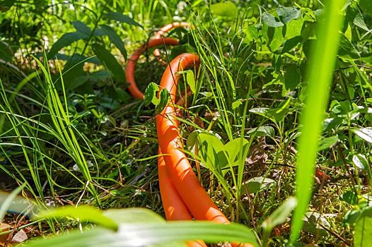 Как это работает. Детонирующий шнур