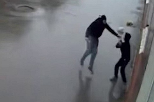 Бастрыкин запросил доклад о дерзком грабителе, который напал на ребенка в Новосибирске