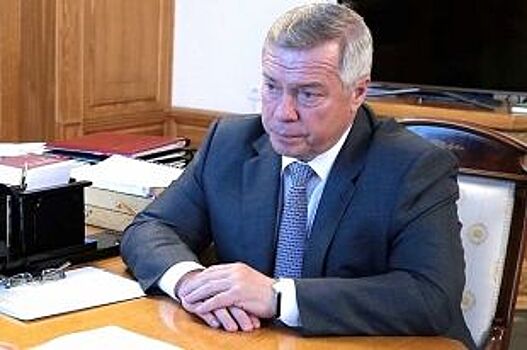 Донской губернатор ждёт молниеносного решения проблем от властей Ростова