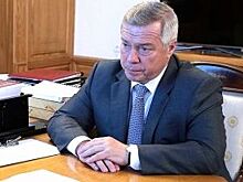 Донской губернатор ждёт молниеносного решения проблем от властей Ростова