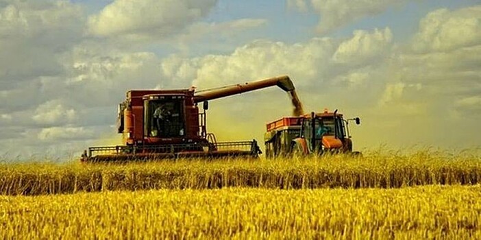 Минсельхоз повысил прогноз урожая зерновых до 110 млн т