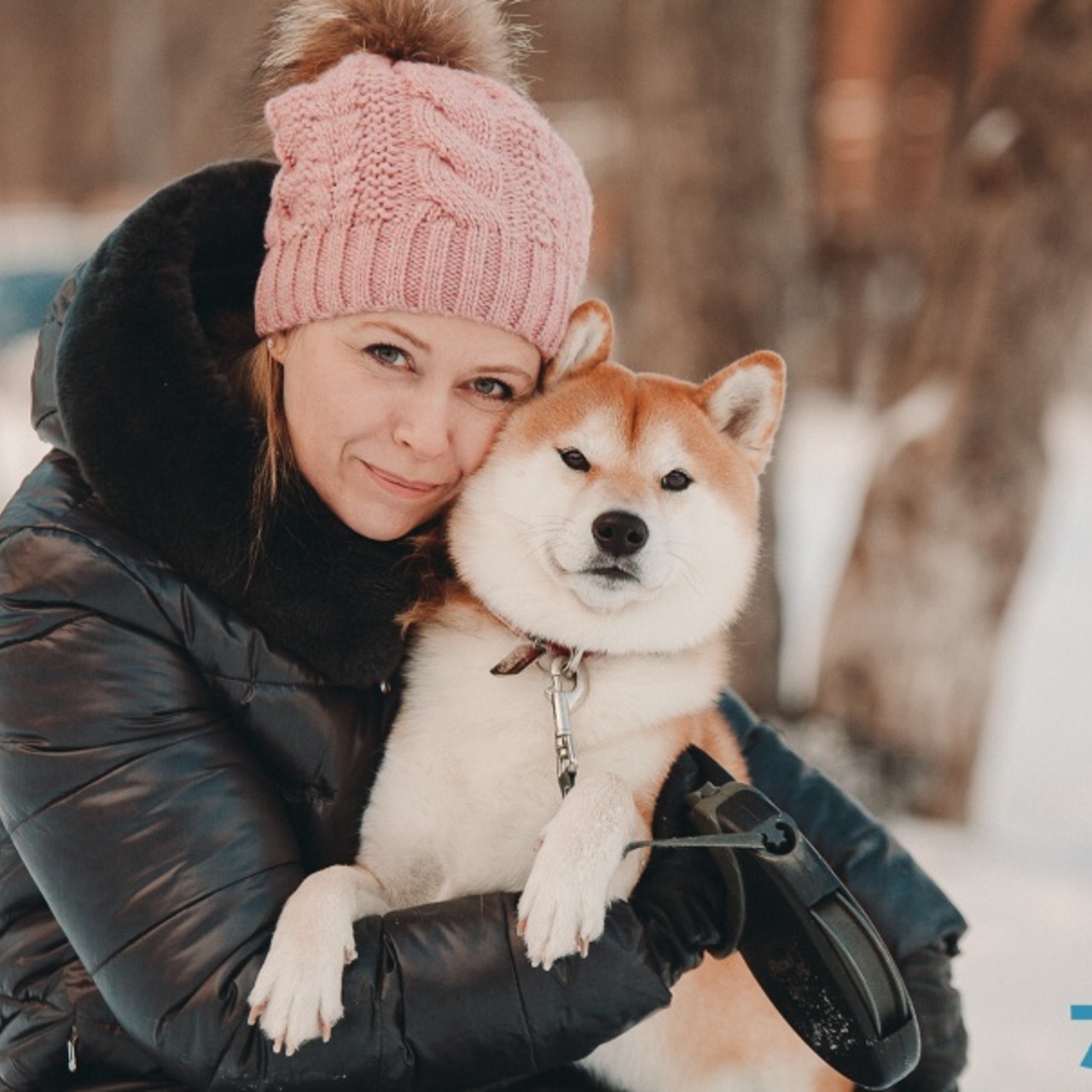 Собака-улыбака: тюменка рассказала про содержание любимого пса японской  породы породы сиба-ину - Рамблер/новости