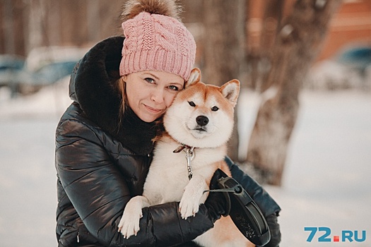 Собака-улыбака: тюменка рассказала про содержание любимого пса японской породы породы сиба-ину