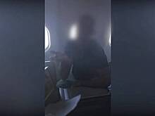 Пьяный россиянин разделся в самолете и устроил дебош во время рейса