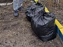 Жители Новосибирска недовольны покраской бордюра в желто-синий цвет