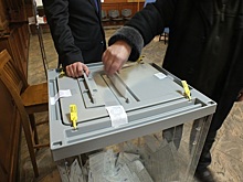 Социолог Малахова: голосуя на выборах, граждане влияют на будущее страны