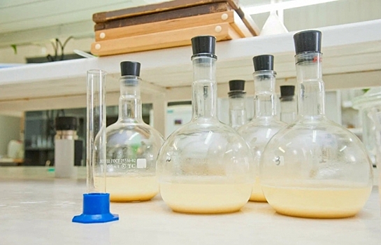 На развитие научного потенциала Волгограда затратили 6994 млн рублей